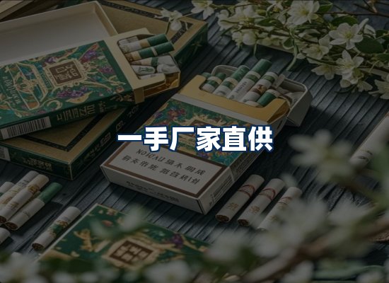 专业团队办公环境